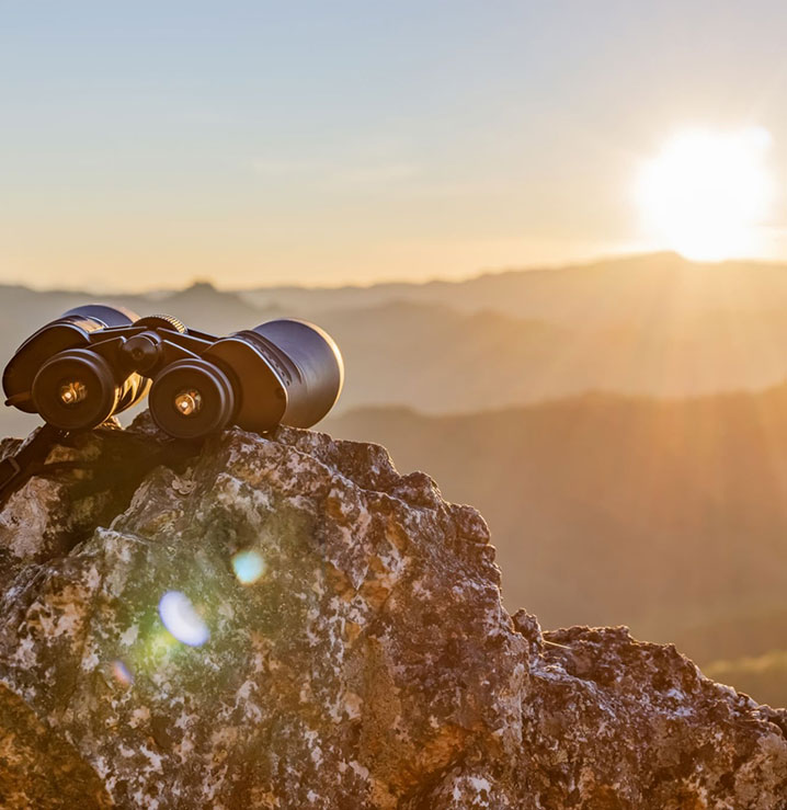 Vision Image